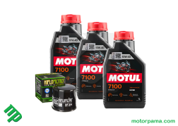 kit tgl 3 motul + filtro olio hf 204